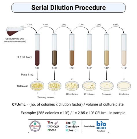 serial dilution test